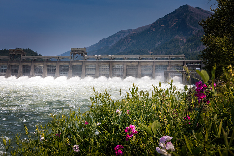 Bonneville Dam